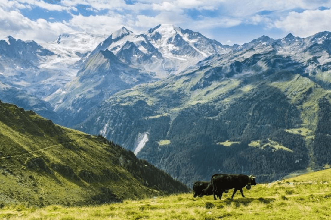 August 1 - we celebrate heroes and heroines of Swiss history - NIKIN EU