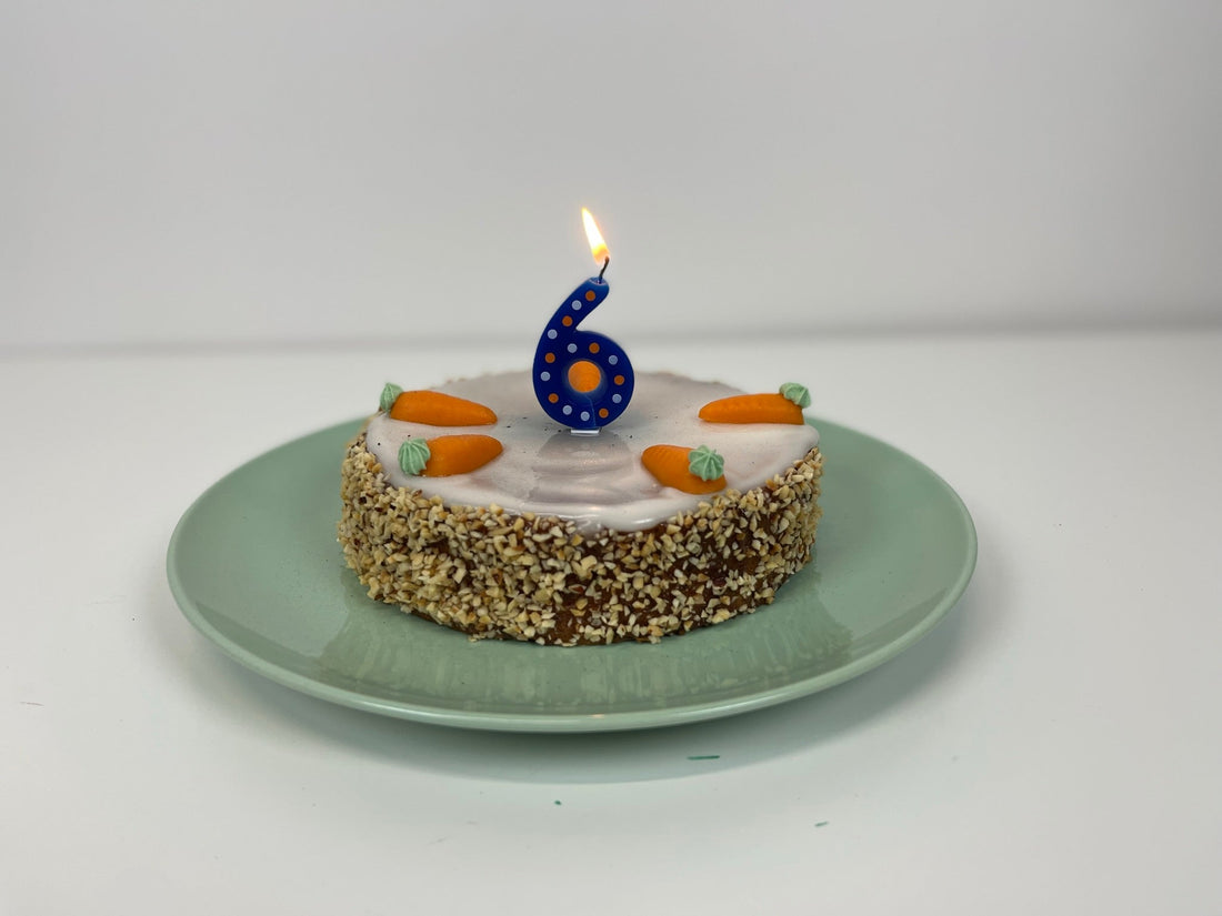 6 years of NIKIN - that was a year! - NIKIN EU