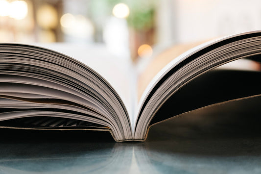 Les meilleurs livres sur le développement durable - NIKIN EU