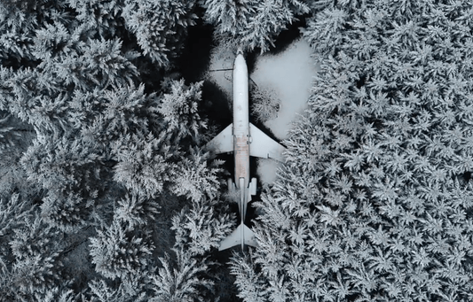 Die faszinierende Geschichte des alten Mannes im Flugzeug - NIKIN EU