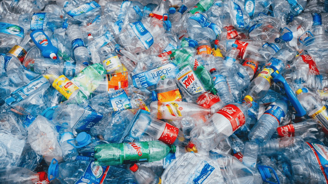 Ein Leben ohne Plastik – und die Alternativen - NIKIN EU