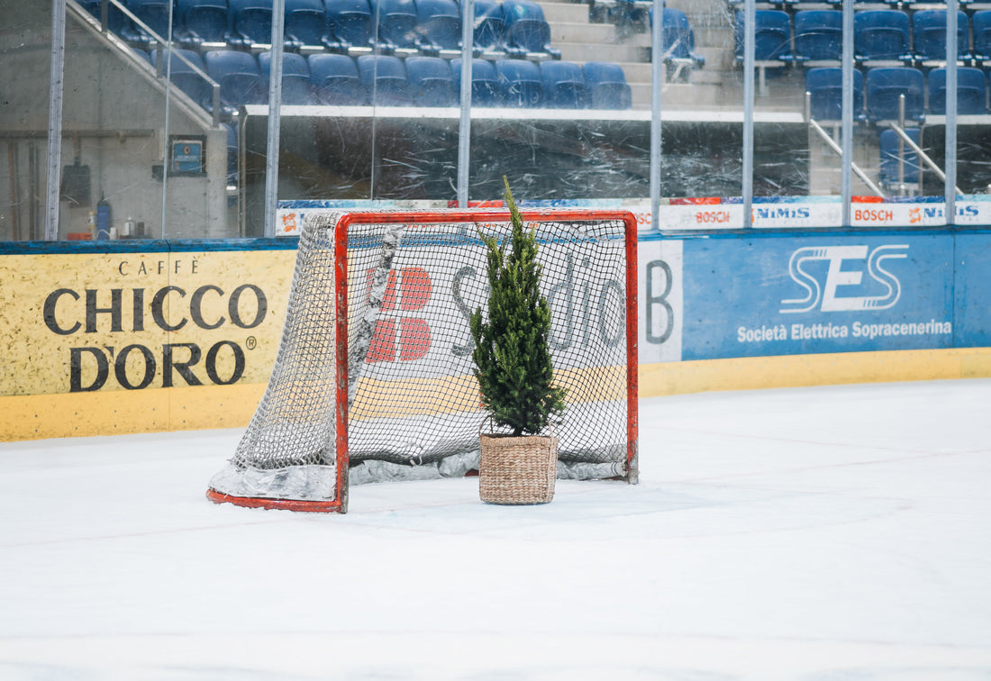 Hockey sur glace, nature et communauté : NIKIN feat. Ambrì Piotta - NIKIN EU