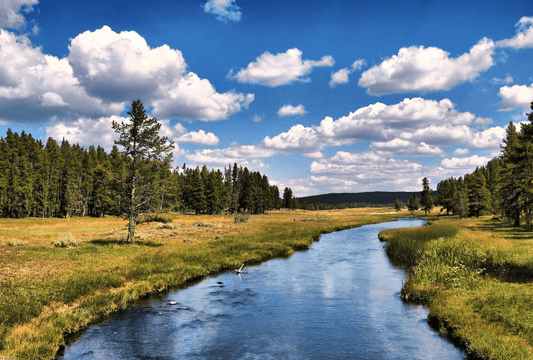 Rivers of the world - Habitat and transportation network - NIKIN EU