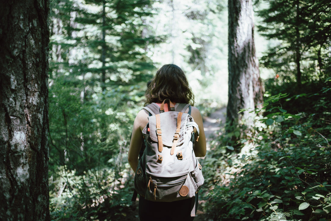 Le printemps dans les bois - un mini-guide pour les promenades - NIKIN EU