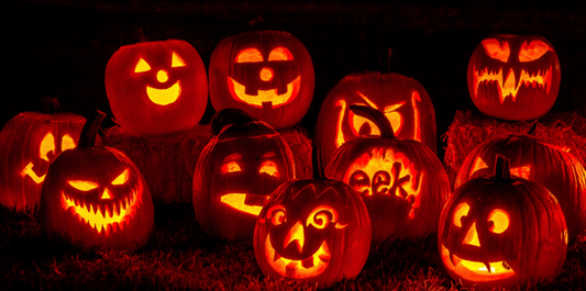 Halloween: Jetzt steht der Kürbis vor der Tür! - NIKIN EU