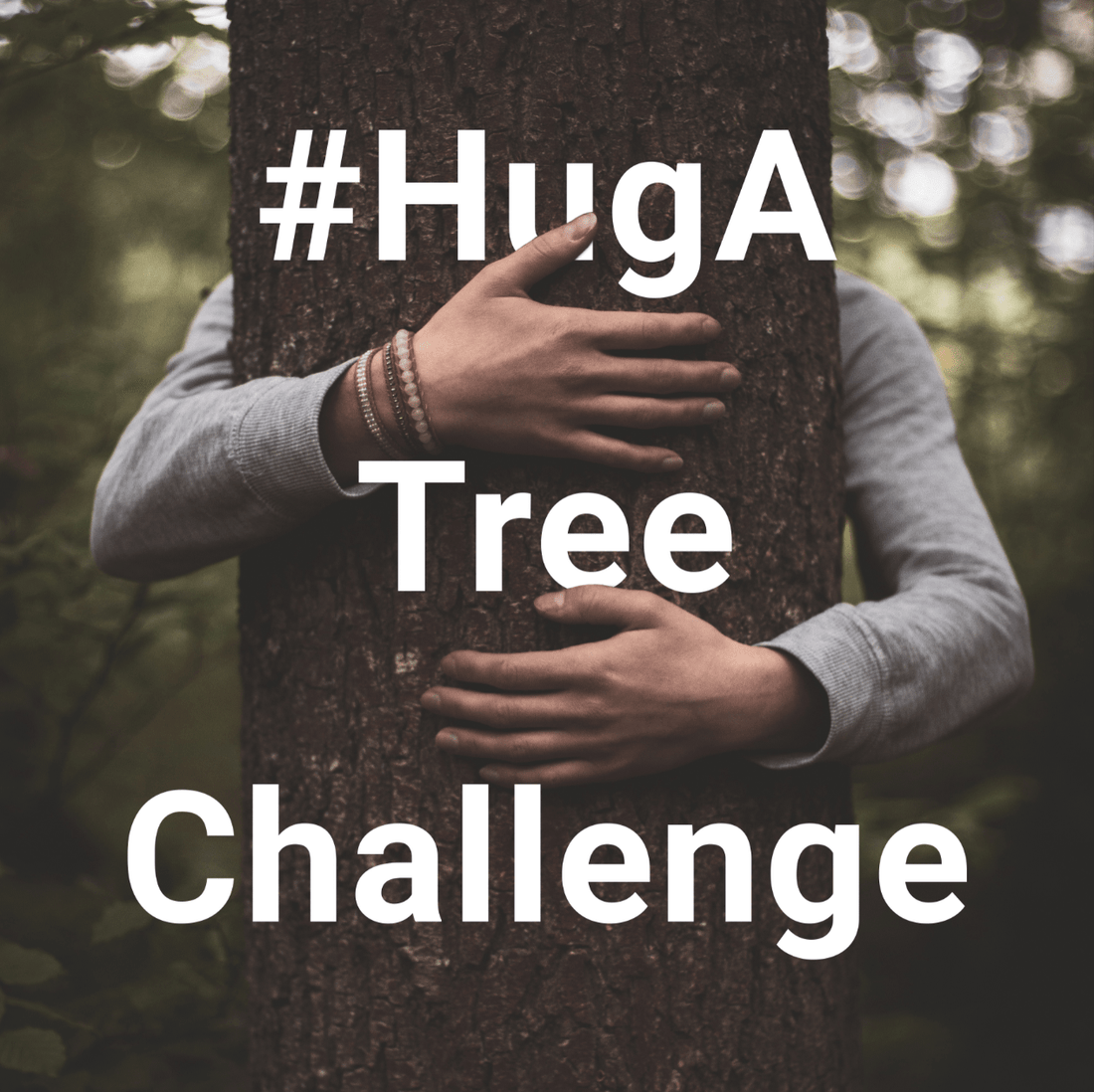 #HugATreeChallenge - Help plant 100,000 trees! - NIKIN EU
