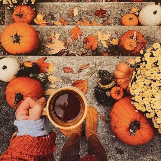 Ideen für den Herbst: Wie dein Zuhause so richtig gemütlich wird - NIKIN EU