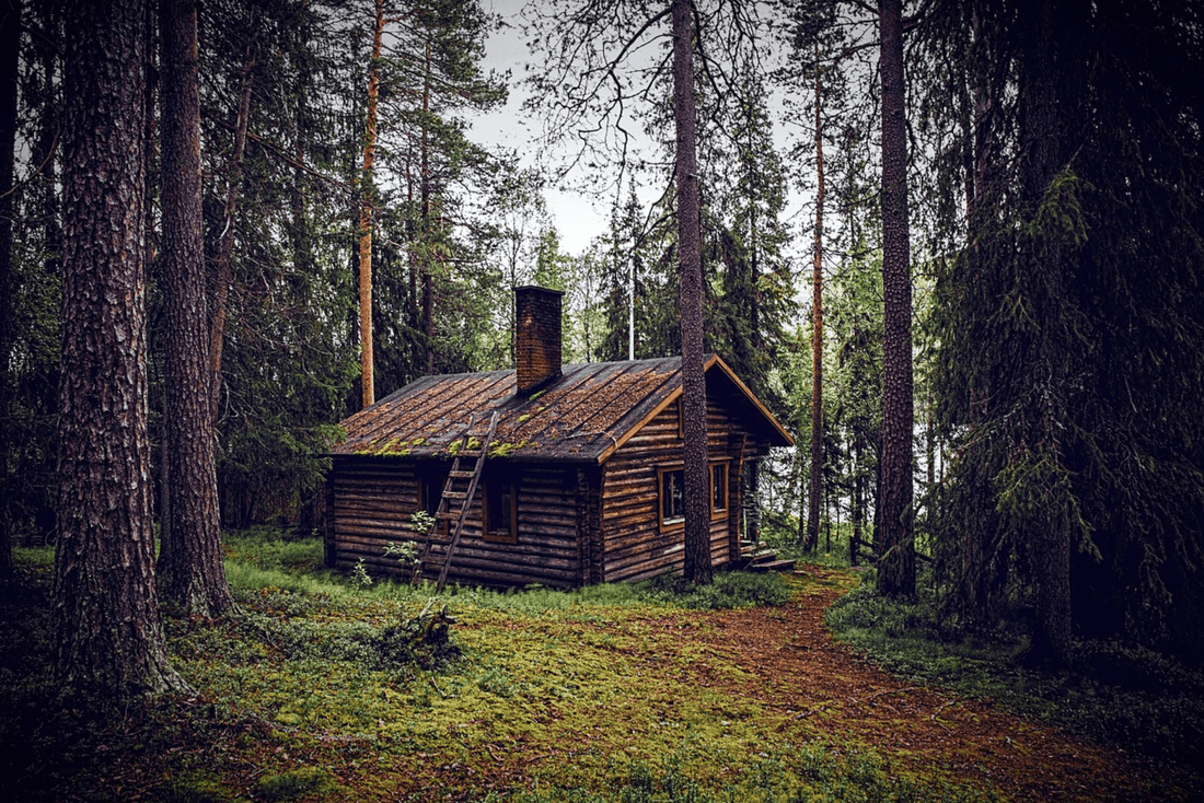 Les gens qui vivent dans la forêt - ermites modernes et marginaux - NIKIN EU