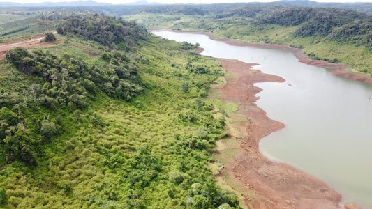 New tree planting project in Vietnam - NIKIN EU
