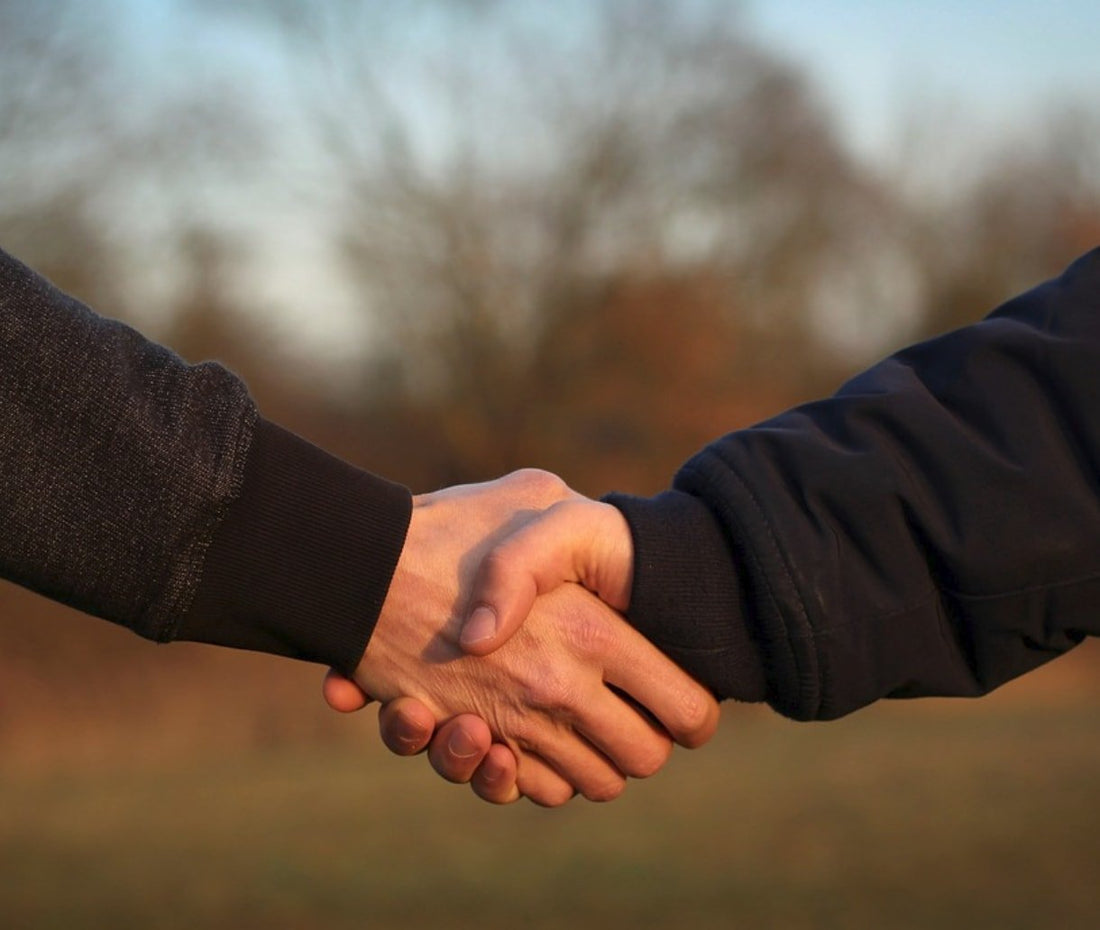 "Non-profit organizations" - what is behind the abbreviation NGO? - NIKIN EU