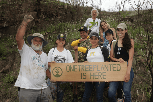 OneTreePlanted – lass uns Bäume pflanzen! - NIKIN EU