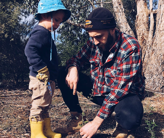 Guide étape par étape pour planter un arbre : facile et rapide - NIKIN EU