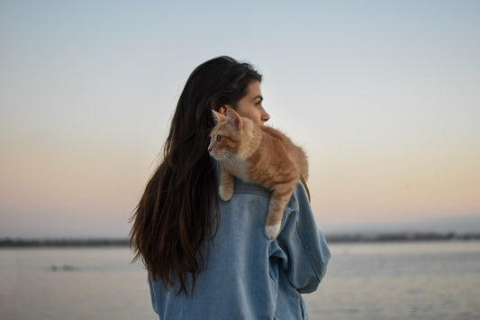 Élever un chat dans le respect de l'environnement : plus facile que prévu ! - NIKIN EU