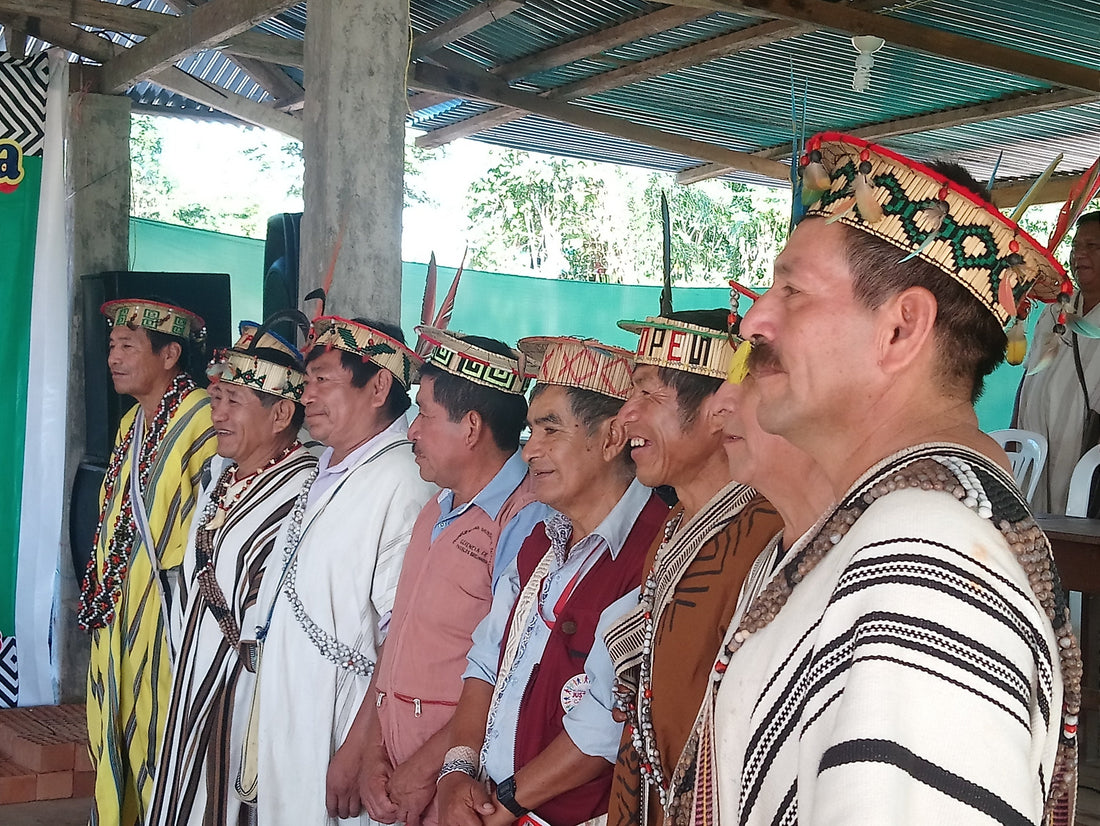 Notre projet de plantation d'arbres au Pérou - NIKIN EU