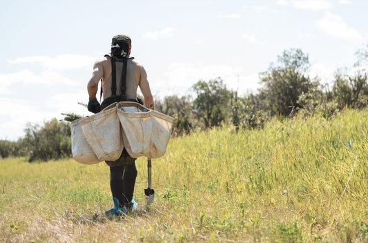 Our tree planting projects in March: Canada and Kenya - NIKIN EU