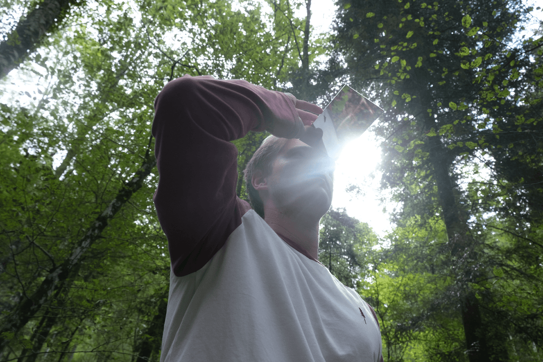 Forest bathing or shinrin-yoku: a field report - NIKIN EU