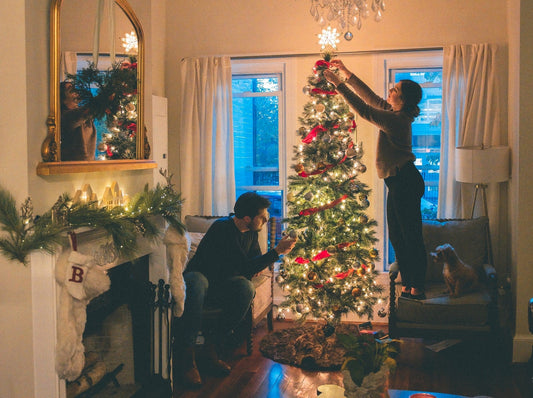 Christmas 2022: this time with a sustainable Christmas tree? - NIKIN EU