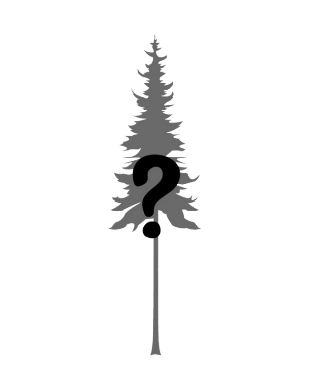MysteryProduct