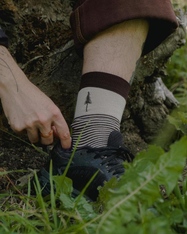 TreeSocks Standard Stripes Beige-Brown - SOCKS - NIKIN EU