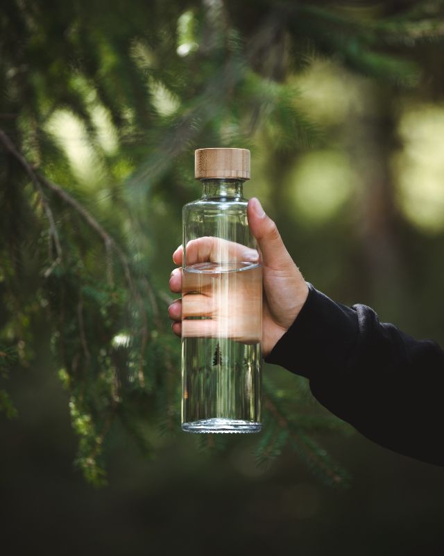 TreeBottle Verre simple - BOTTLE - NIKIN EU
