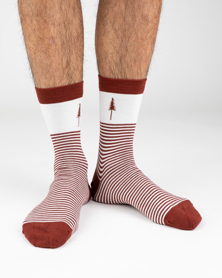 TreeSocks Standard Stripes - Bordeaux - SOCKS - NIKIN