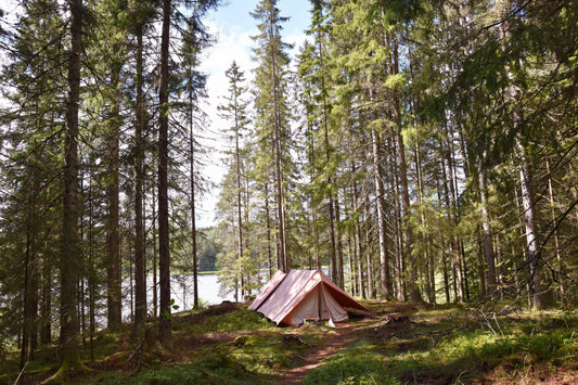 Back to the Roots: How Diego Walder is Rethinking Spatz