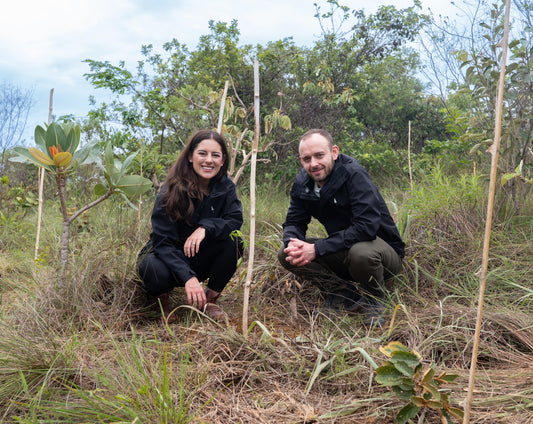 Blick hinter die Kulissen: Unser Herzensprojekt im brasilianischen Cerrado