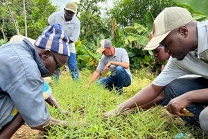 Our tree planting project in May & June: Agroforestry in Senegal
