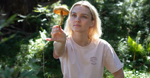 Fascination des champignons : les mystérieux indigènes de nos forêts