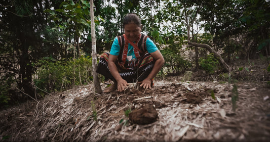 Return to Thailand: Our second support for the Hilltribes project