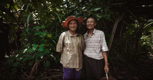 Our tree planting project in June: Hilltribe's forestry in Thailand