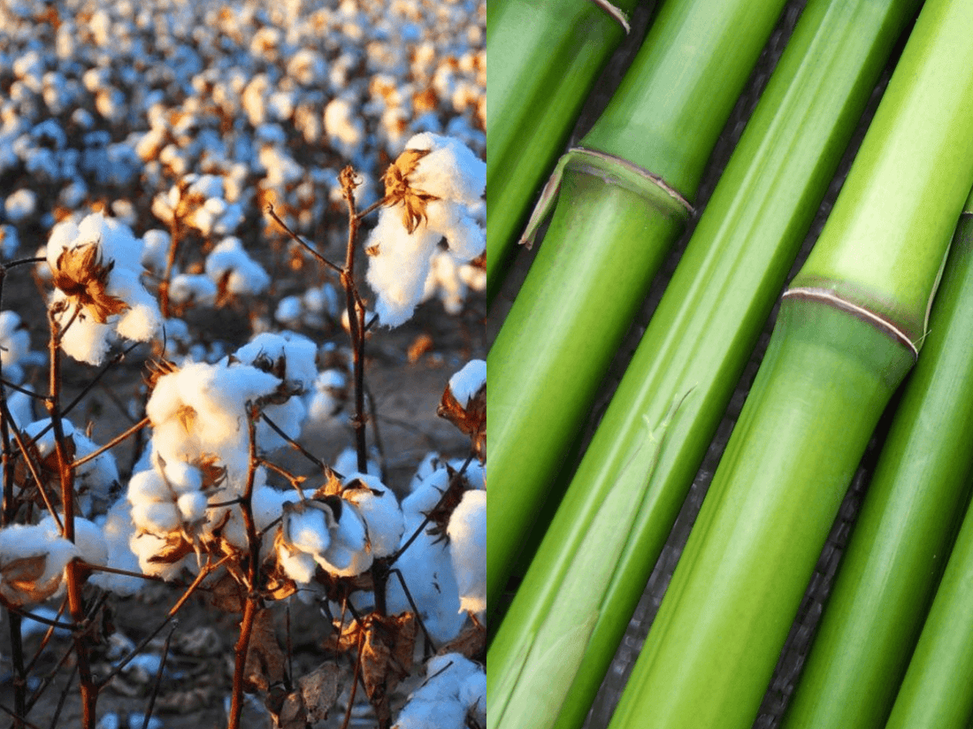 Organic cotton vs. bamboo - and other sustainable alternatives - NIKIN EU
