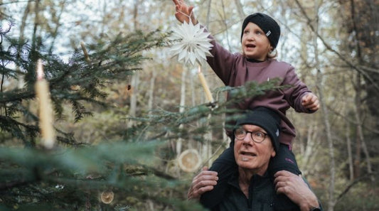 A grandfather and granddaughter decorate the Christmas tree.