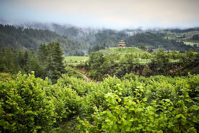Landscape of Buthan with a temple in the background.