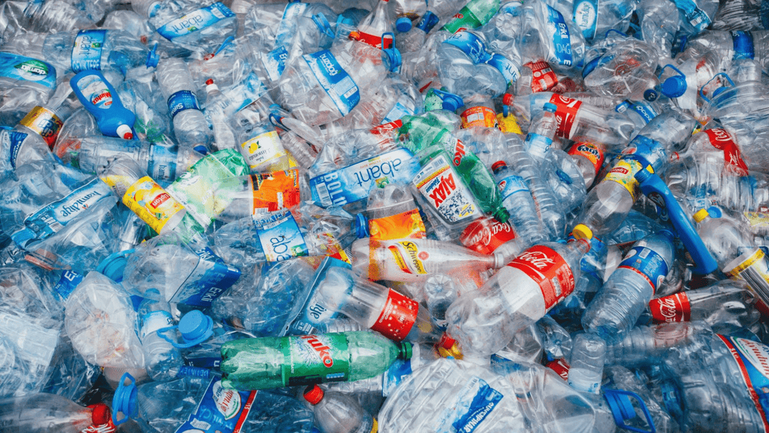A life without plastic - and the alternatives - NIKIN EU