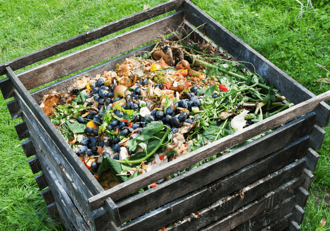 Compost: super nutrient from organic waste - NIKIN EU