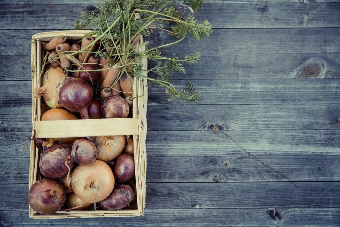 More sustainability in everyday life: join in! - NIKIN EU