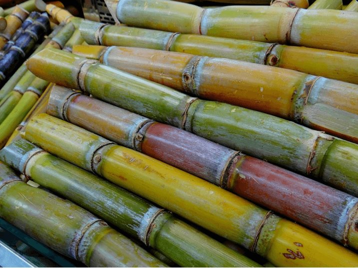 Paper made from sugar cane - guaranteed tree-free! - NIKIN EU