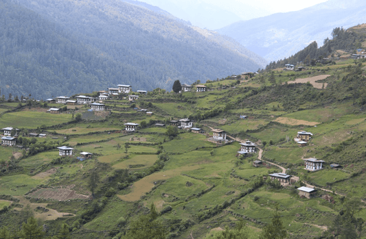 TreePlanting Mise à jour mars : Bhoutan - Fruits for All - NIKIN EU