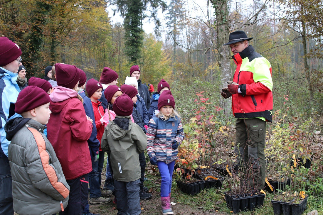 TreePlantingDays for young and old - register now! - NIKIN EU