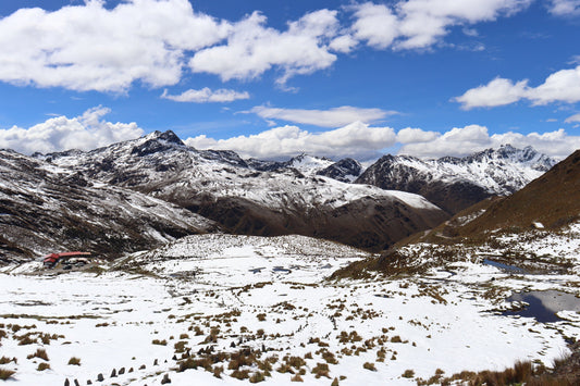 Notre projet de plantation d'arbres en février : Chaîne de montagnes des Andes - NIKIN EU
