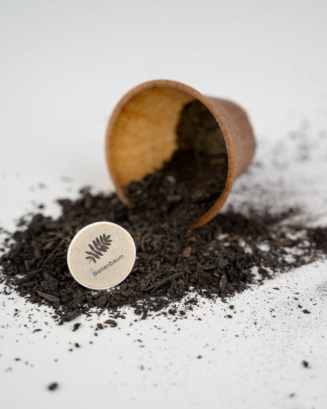 Multicolor | TreePlanting Kit Bee Tree - Planting Kit - NIKIN