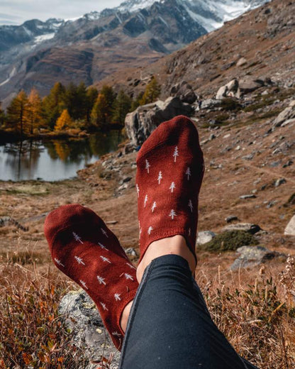 TreeSocks Short Allover Bordeaux