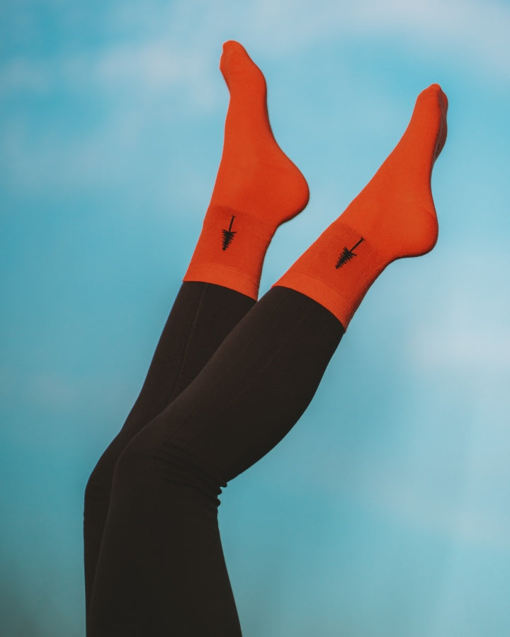 TreeSocks Standard Single Bundle Provence-Deep Orange